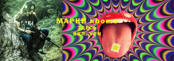 сатива Аркадак