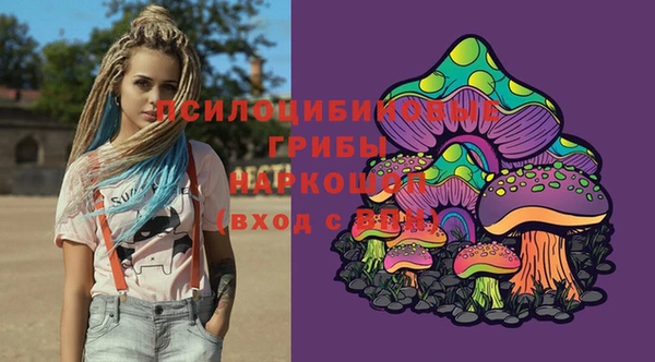 mix Арсеньев