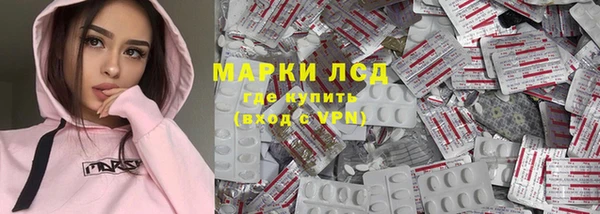 сатива Аркадак