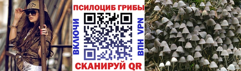 хочу наркоту  гидра как войти  Псилоцибиновые грибы прущие грибы  Далматово 