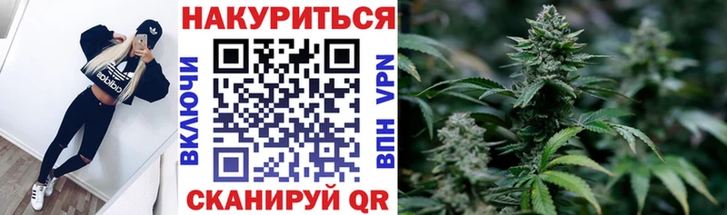 купить  сайты  Далматово  Конопля планчик 